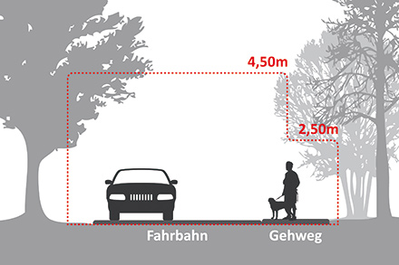 Schematische Darstellung des Lichtraumprofils mit einem Auto auf der Fahrbahn und einer gehenden Person auf dem Gehweg; markiert sind 4,50 Meter Höhe über der Fahrbahn und 2,50 Meter über dem Gehweg.