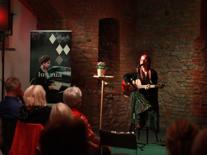 Konzert in historischer Gewölbekulisse Musikerin mit Gitarre singt bei einem Konzert vor Publikum in einem historischen Gewölberaum.