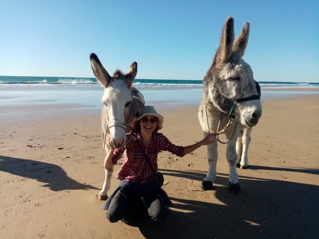 Eine Person kniet am Strand neben zwei gesattelten Eseln; im Hintergrund sind das Meer und blauer Himmel zu sehen.