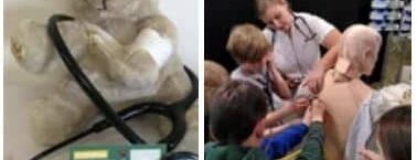 THD Kinderuni Teddy Doc – wir erkunden den menschlichen Körper