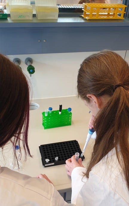 Zwei Teilnehmerinnen arbeiten in einem Labor mit Pipette, Reaktionsgefäßen und einer schwarzen Probenplatte.