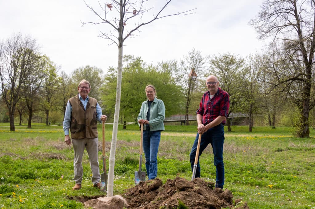 Drei Menschen stehen mit Spaten neben einem frisch gepflanzten jungen Baum auf einer Wiese in einem Park.