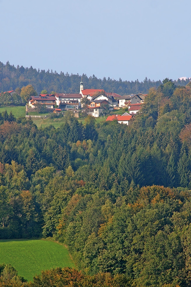 Landschaftsansicht von Greising mit Häusern und einer Kirche auf einem bewaldeten Höhenzug