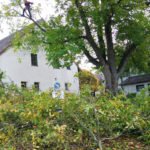 Weißes Gebäude mit begrüntem Innenhof, großen Bäumen und aufgeschichteten Gartenästen im Vordergrund.