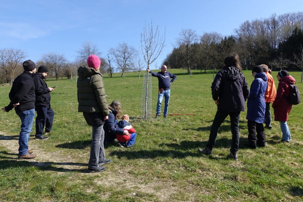 Gruppe von Menschen bei einem Baumschnittkurs an einem jungen Obstbaum auf einer Streuobstwiese; ein Stadtgärtner erklärt die Schnitttechnik.