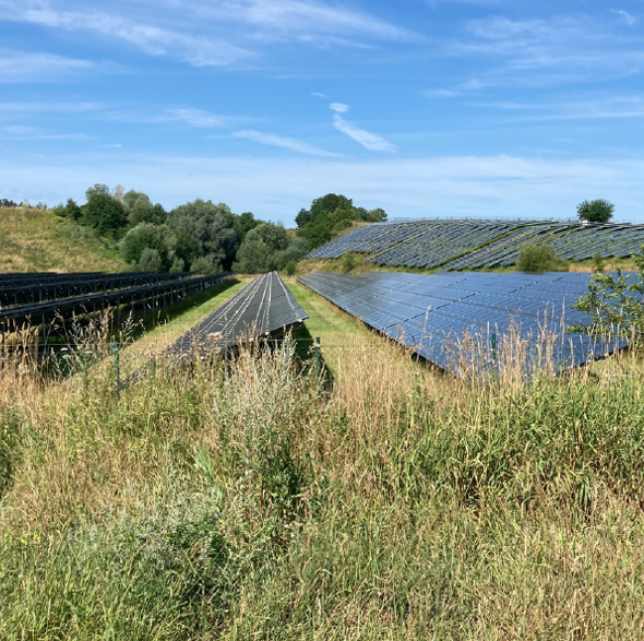 Freiflächen-Solaranlage mit langen Reihen von Solarmodulen zwischen Wiesen und Bäumen unter blauem Himmel