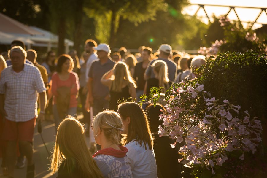 Sommerfest des Vereins in Deggendorf 2009 Besucherinnen und Besucher spazieren bei warmem Abendlicht an einem blühenden Strauch entlang.