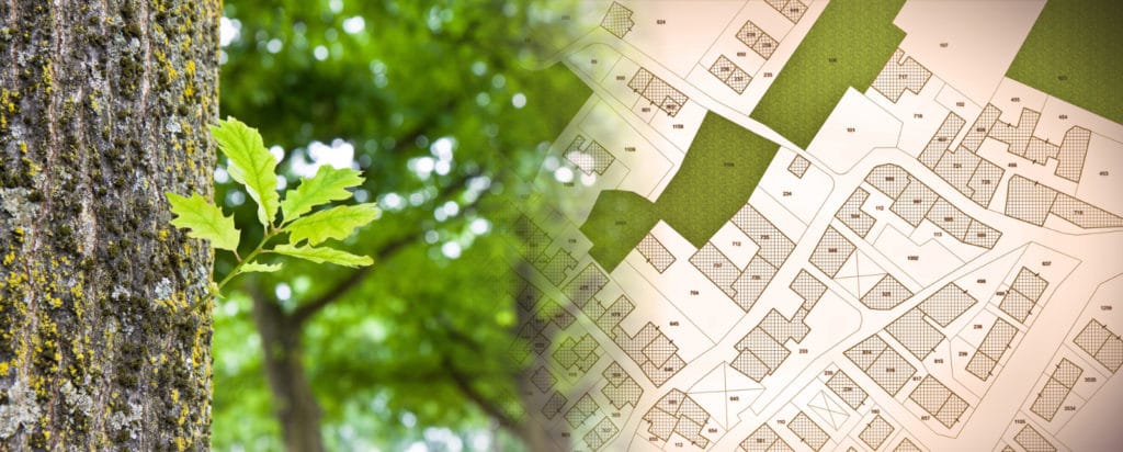 Überblendung aus einem Baum mit grünen Blättern und einem städtebaulichen Lageplan