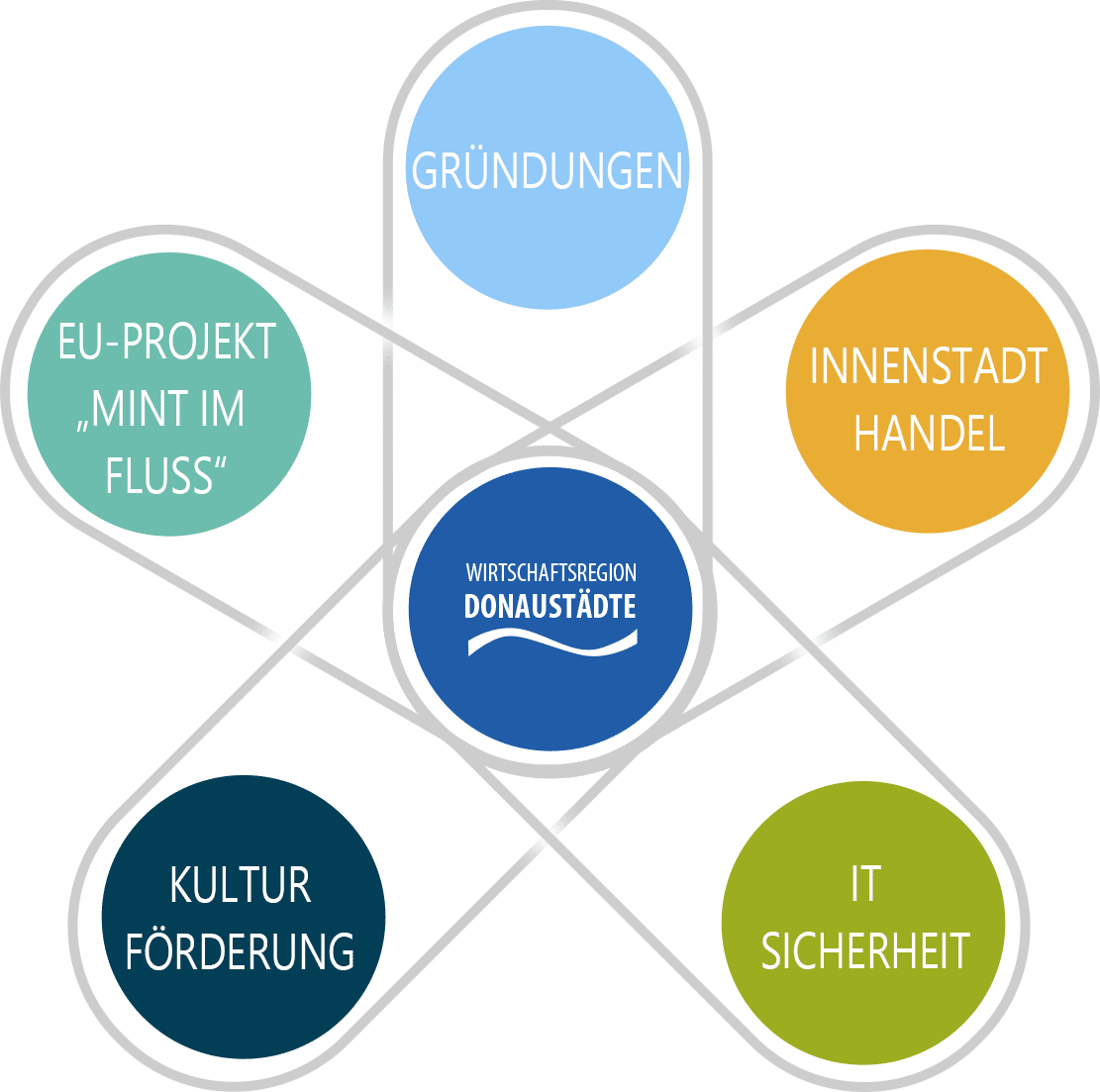 Grafik mit dem zentralen Logo der Wirtschaftsregion Donau-Städte und fünf farbigen Handlungsfeldern: Gründungen, Innenstadt-Handel, IT-Sicherheit, Kulturförderung sowie EU-Projekt „Mint im Fluss“.
