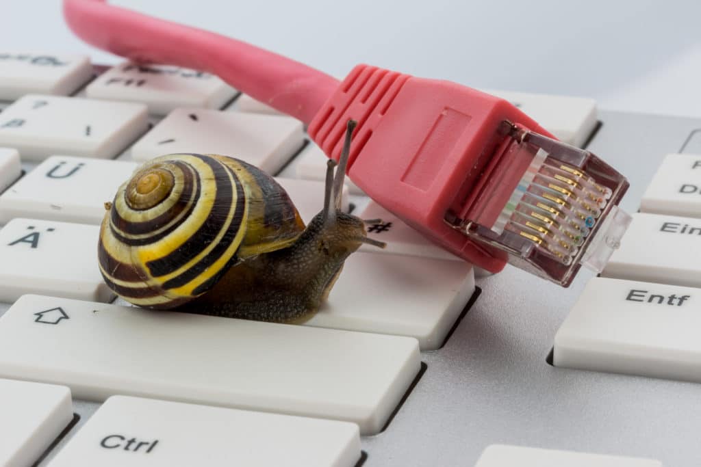 Eine Schnecke sitzt auf einer weißen Computertastatur neben einem roten Netzwerkkabel.