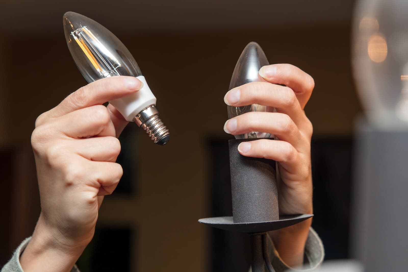 LED-Lampen im Vergleich – Themenwoche Strom in Deggendorf Zwei Hände halten eine LED-Lampe und eine dekorative Leuchte zum Vergleich.
