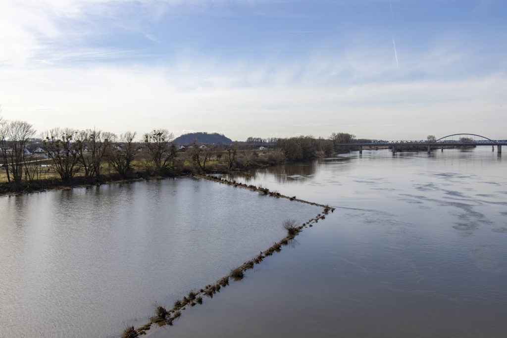 Blick über die Donau mit überfluteten Uferflächen, kahlen Bäumen und einer Brücke im Hintergrund