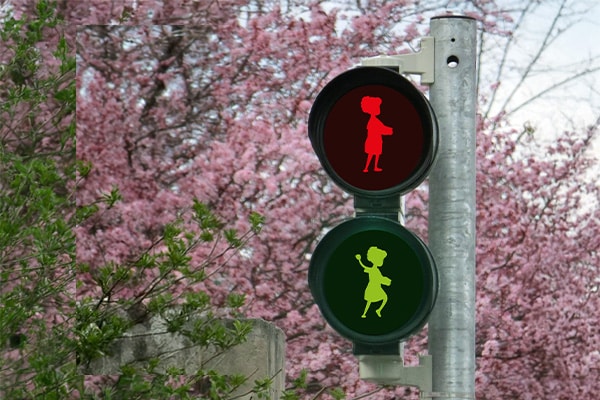 Fußgängerampel mit roten und grünen Piktogrammen einer stehenden und gehenden Person vor rosa blühenden Bäumen.