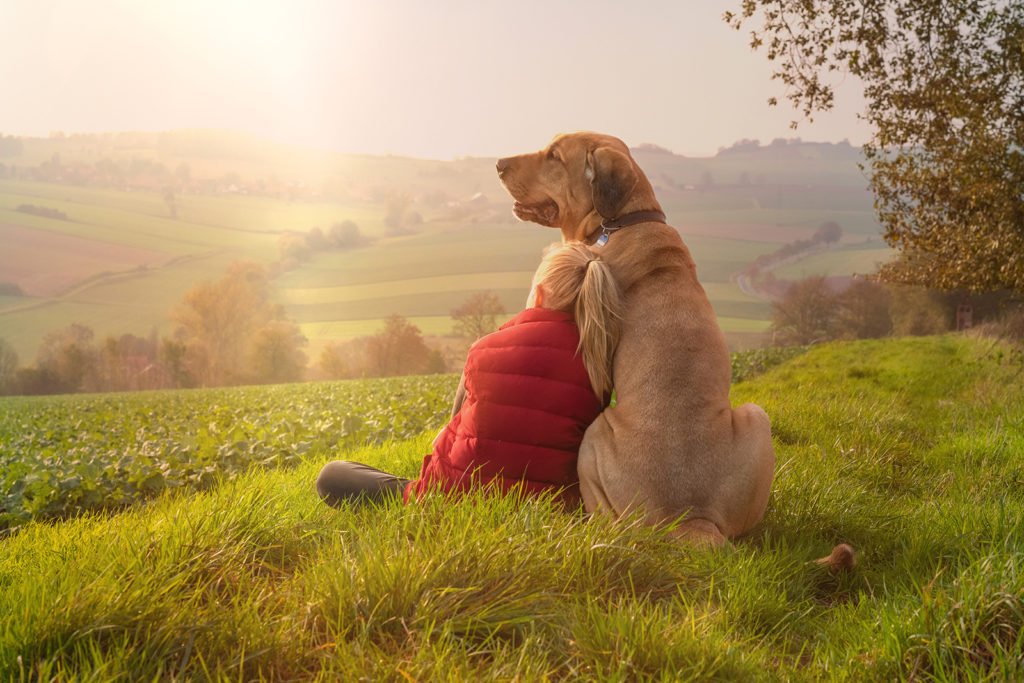 Ein Hund sitzt neben einer Person in roter Jacke auf einer Wiese mit Blick über eine hügelige Landschaft.